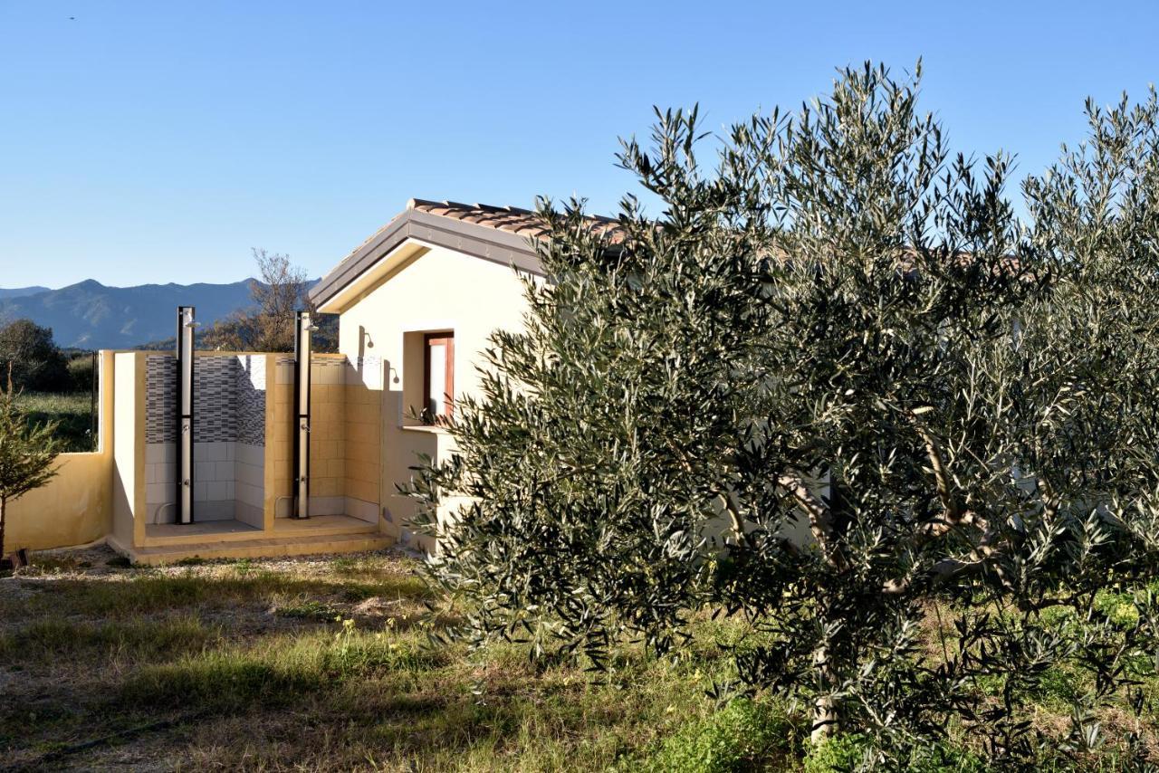 Apartment Armandiola